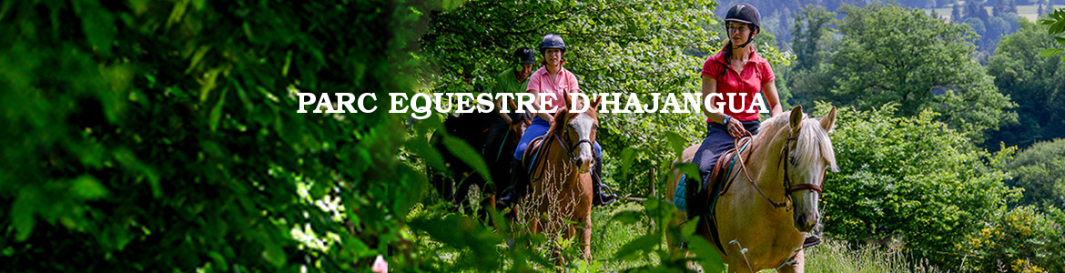 PARC EQUESTRE D'HAJANGUA